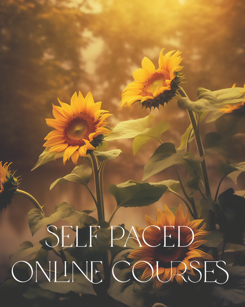 Holistic Business Course: Self Paced